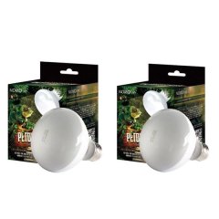 Reptile Basking Lamps x 2pc 100W