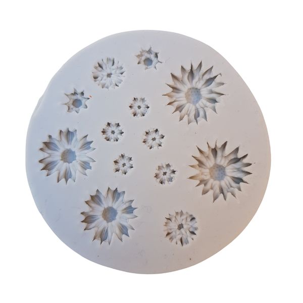 Silicone Mold