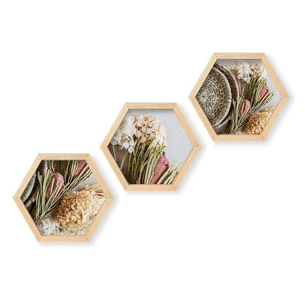 Cape Art Wall Art Pine Hex 3 Piece Collage - Soft Florals