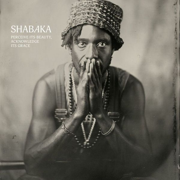 Shabaka Hutchings - Perceive Its Beauty, Acknowledge Its Grace Vinyl Album