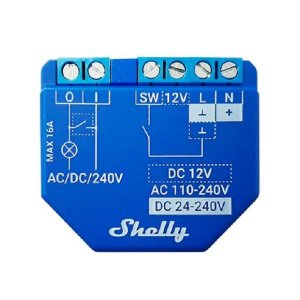 Shelly Plus 1