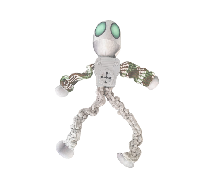 Pet Interactive Robot Toy