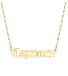 Capricorn Horoscope Birth Star Sign Zodiac Astrology Necklace Birthday Gift