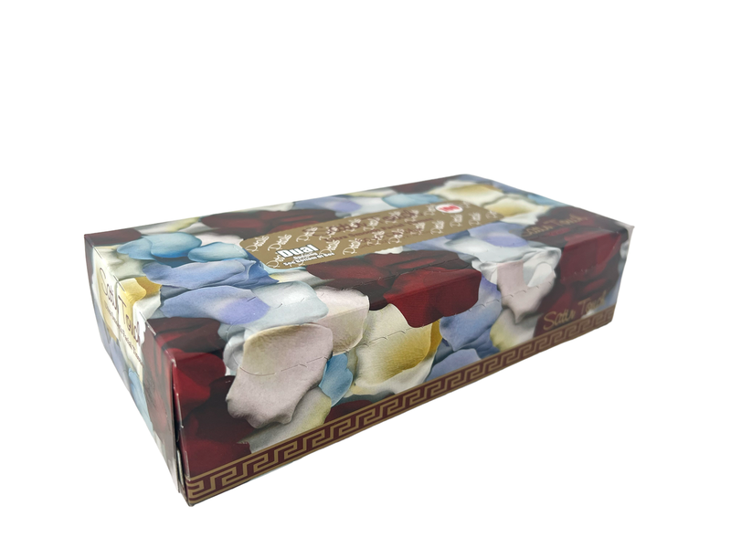 Satin Touch 2Ply Facial Tissue 100's