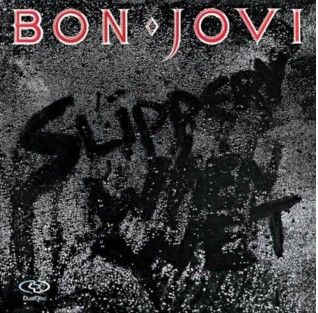 Slippery When Wet (Vinyl / 12" Album)