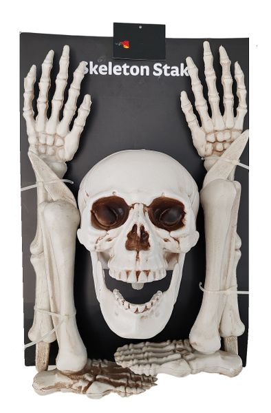 Halloween Set Of Bones, Skulls, Feet, Hands, Fore Arms and Shins - Umlozi