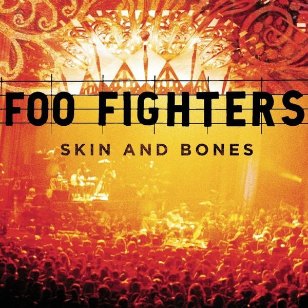 Foo Fighters - Skin And Bones (Reissue) 2LP Vinyl Album