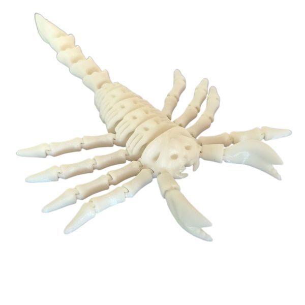Articulated Bone Scorpion Toy 3D Printed Flexible Skeleton Insect