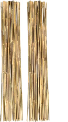 Natural Bamboo Garden Stakes for Indoor and Outdoor Plants -Pack Of 20
