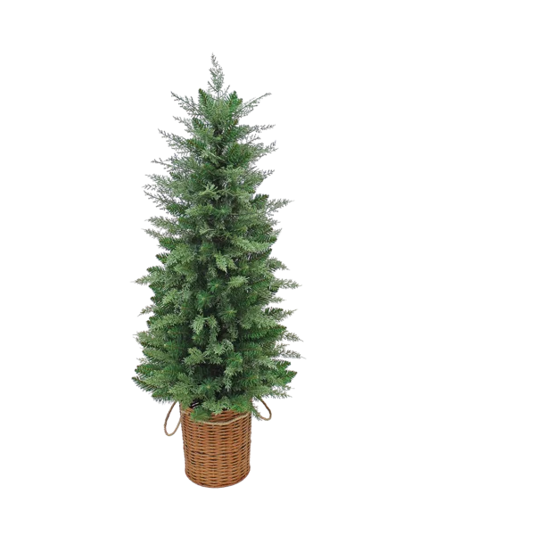Cypress Potted Christmas Tree 1.2m