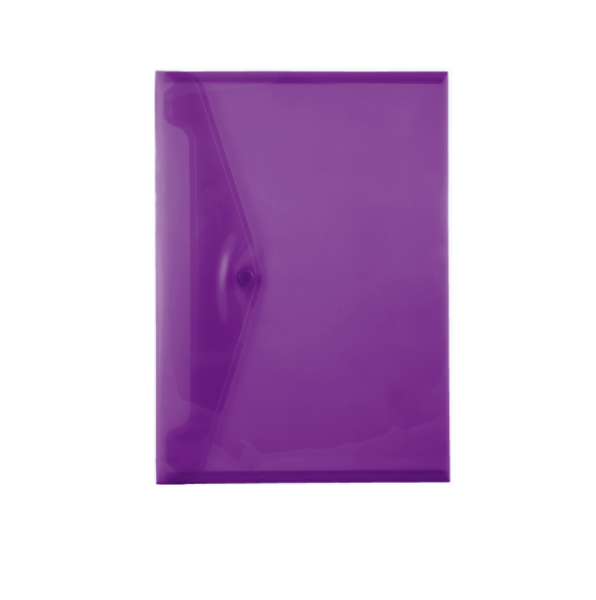 Butterfly Carry Folders Pvc 160 - A3 - Violet (Pack Of 5)