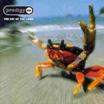 Fat Of The Land (Vinyl)