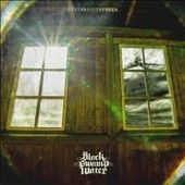 Distant Thunder (Vinyl / 12" Album)