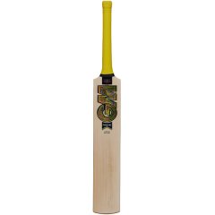 GM 404 Psyche English Willow Cricket Bat