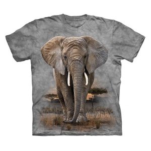 Kool Africa - Animal Dyed T-Shirt - Tweens - Elephant - For Boys &amp; Girls