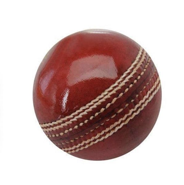 Investify Practice Cricket Ball 6 Pack
