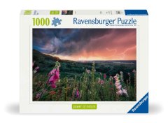 Ravensburger 1000 Piece Puzzle Dreamy Thunder