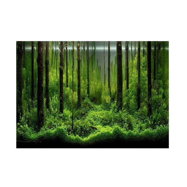 PVC Adhesive Underwater Forest Aquarium Background Poster 61x30cm