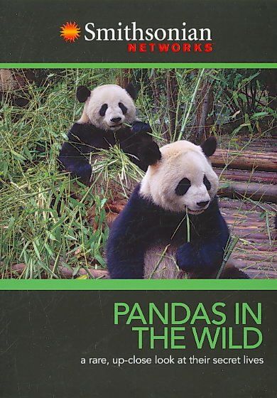 Pandas in the Wild /Panda Breeding Di - (Region 1 Import DVD)