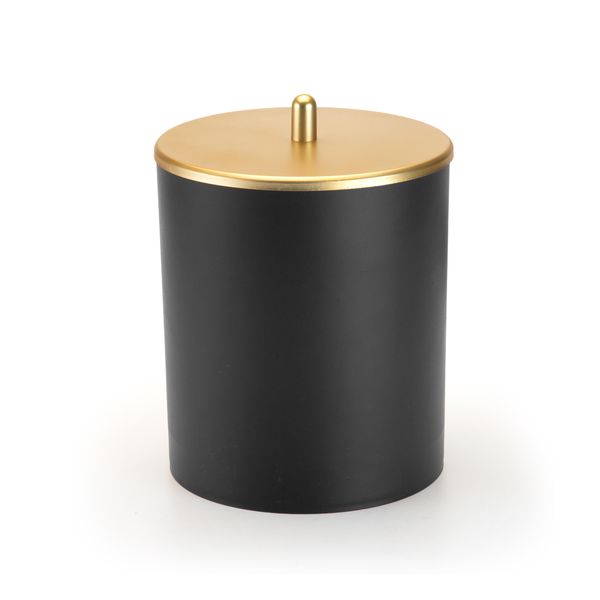 Arthi Black-Gold Elegant and Modern Design Trash Bin