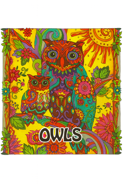Colouring In Book Owls 96 pages
