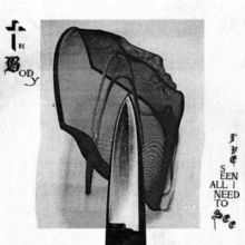 I've Seen All I Need to See (CD / Album)