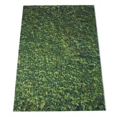 5x7ft Nature Green Grass Backdrops Photography Background