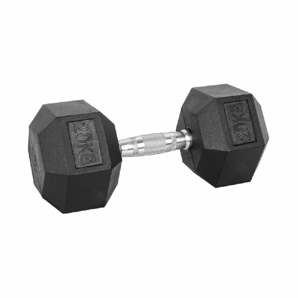 20kg Fitness Hexagon Dumbbell