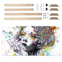 Canvas and DIY Frame Kit: Modern Art - Fantasy Girl