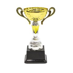 Olympic Cup Trophy Including Base - Small