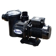Quality 0.75kW Pump And Motor Swimflo 2