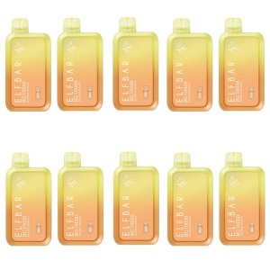 ElfBar BC10000 Rechargeable Disposable Vape 5% - Double Mango - 10 Pack