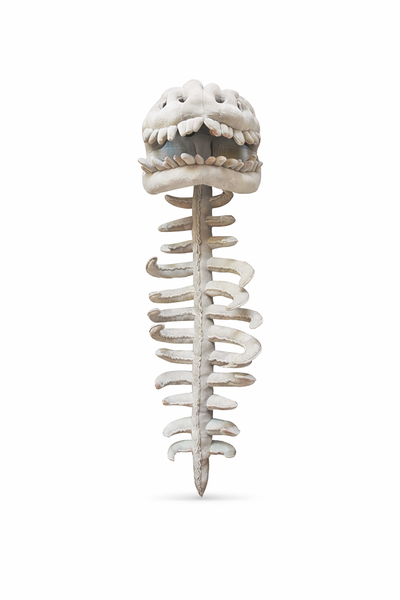 Earthmelon Dinosaur Skeleton Plush Wearable Toy 60cm Soft Costume