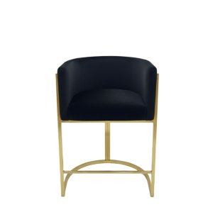 Modern Honeycomb Backing Chair with Stainless Frame Upgrade