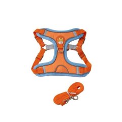 No Pull Dog Harness With Leash - Orange - Medium