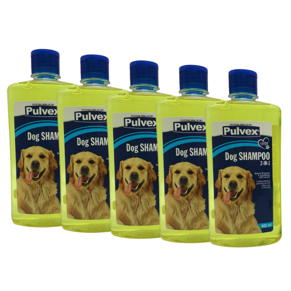 Adjustable, Breathable and Soft Protective Dog Muzzle