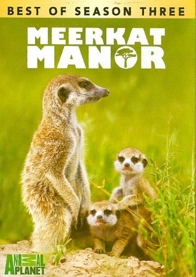 Best of Meerkat Manor Season 3 - (Region 1 Import DVD)