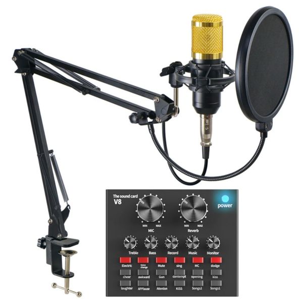 Professional Studio Recording Condenser Microphone Bundle + Sound Card