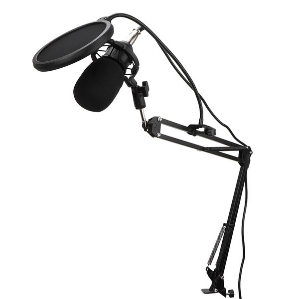 700 Capacitance Karaoke Recording Mic