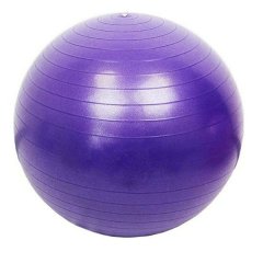 Fury Exercise Ball 75cm - Purple