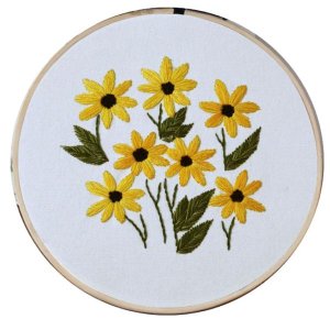 Sewing Cross Stitch Embroidery Starter Kit Starter