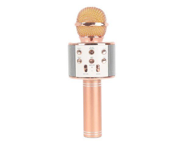 Everlotus IS-K01 Wireless Karaoke Microphone