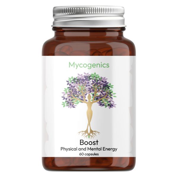 Boost - Mental and Physical Energy Support