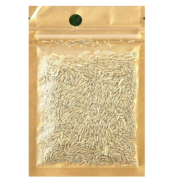 Aquarium Grass Plants Seeds - Aquatic Fescue Carpet Water Grass