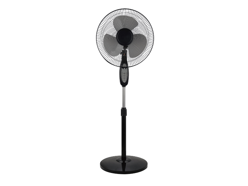 Homestar Black Indoor Remote Controlled Pedestal Fan FW40