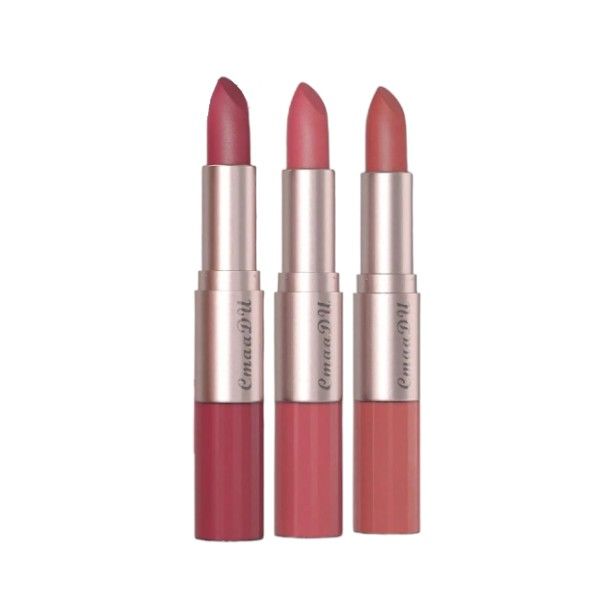 3 Piece - Long-Lasting Waterproof Matte Lipstick in 3 Shades
