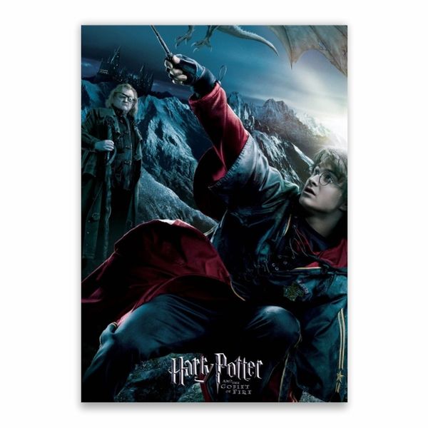 Harry Potter And The Goblet Of Fire Movie Poster - A1