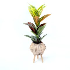 ECO LIFESTYLE AFRICA Faux Croton Sunset Plant in Woven Tripod Pot