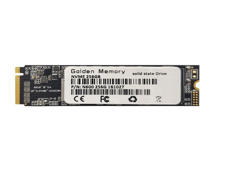 Golden Memory 256 GB Solid State Drive NVME M.2