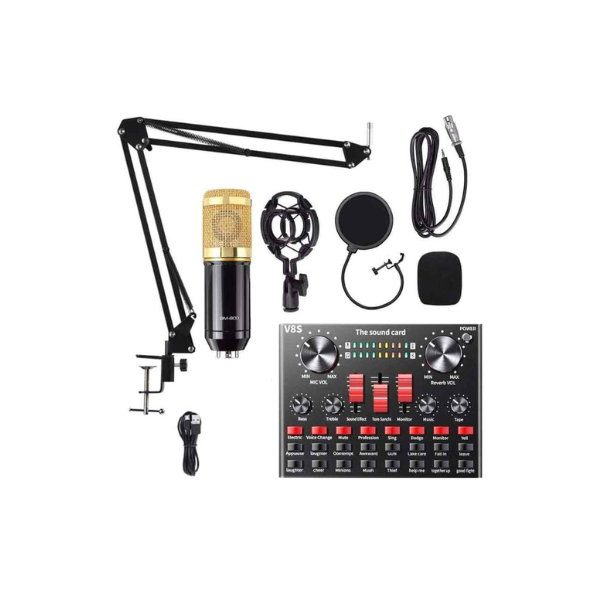 Professional Condenser Microphone BM800